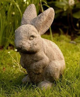 Photo of Campania Rabbit Ears Up - Exclusively Campania